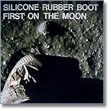 Silicone on the Moon !